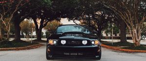 Превью обои ford mustang, спорткар, вид спереди, черный, деревья