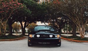 Превью обои ford mustang, спорткар, вид спереди, черный, деревья