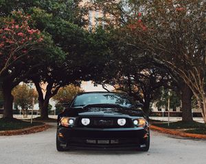 Превью обои ford mustang, спорткар, вид спереди, черный, деревья
