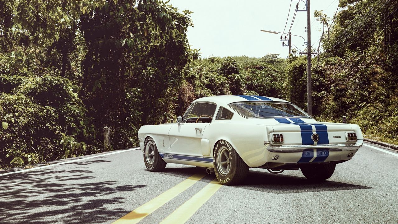 Обои ford, shelby, gt350r, muscle