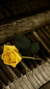 Превью обои фортепиано, роза, клавиши