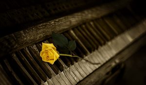 Превью обои фортепиано, роза, клавиши