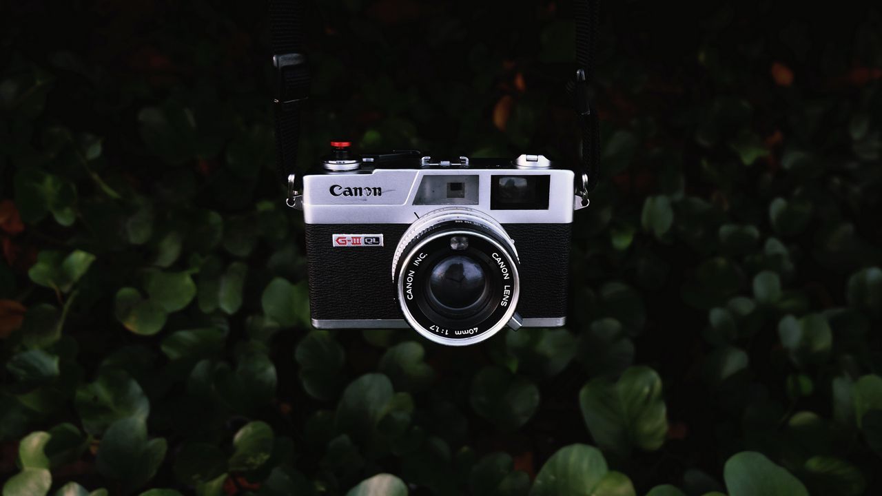 Обои фотоаппарат, линза, объектив, ретро, листья, куст