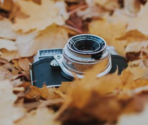 Превью обои фотоаппарат, листья, листва, сухой, осень