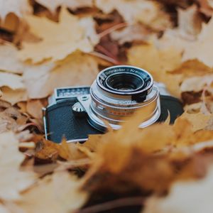 Превью обои фотоаппарат, листья, листва, сухой, осень