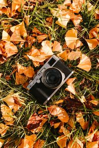 Превью обои фотоаппарат, листья, трава