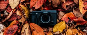 Превью обои фотоаппарат, листва, осень, листья