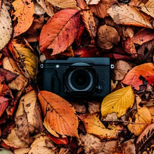 Превью обои фотоаппарат, листва, осень, листья