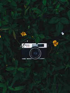 Превью обои фотоаппарат, объектив, листья, цветы, зеленый, желтый