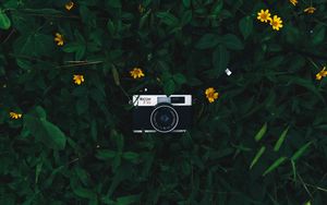 Превью обои фотоаппарат, объектив, листья, цветы, зеленый, желтый