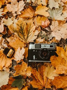 Превью обои фотоаппарат, осень, листва, ретро, винтаж, фотопленка