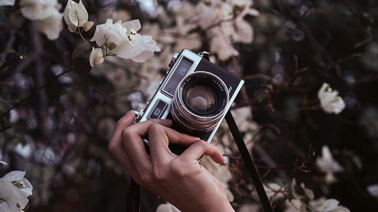 Обои фотоаппарат, ретро, рука, цветы, цветение
