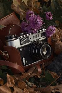 Превью обои фотоаппарат, ретро, винтаж, объектив, листва, осень