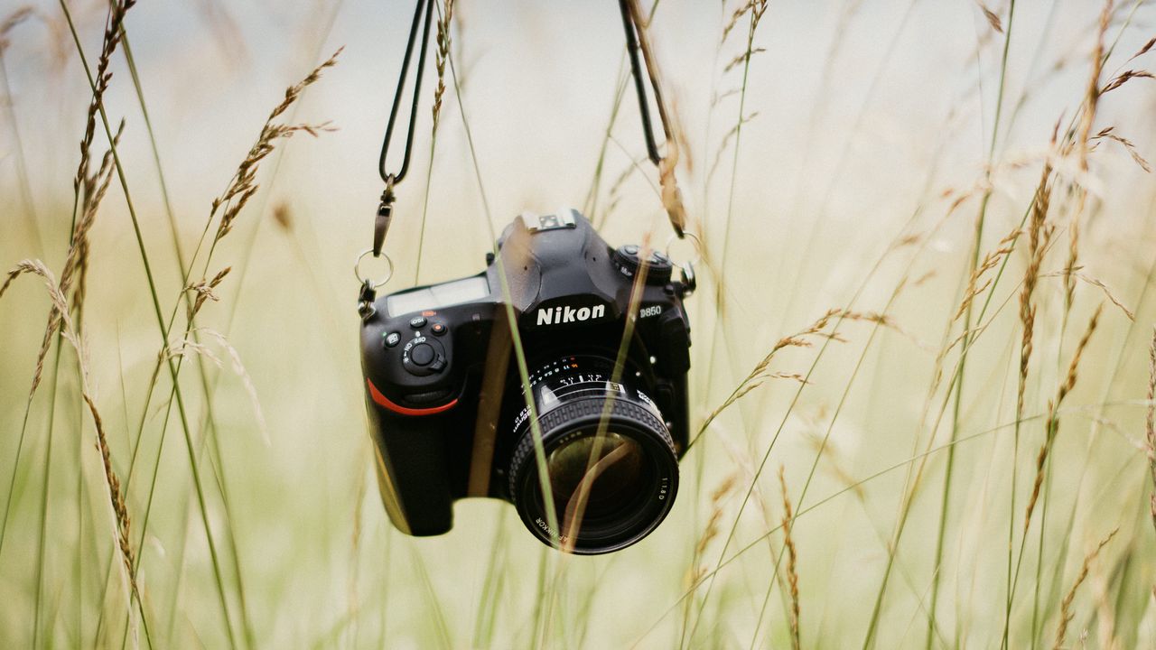 Обои фотоаппарат, техника, объектив, трава