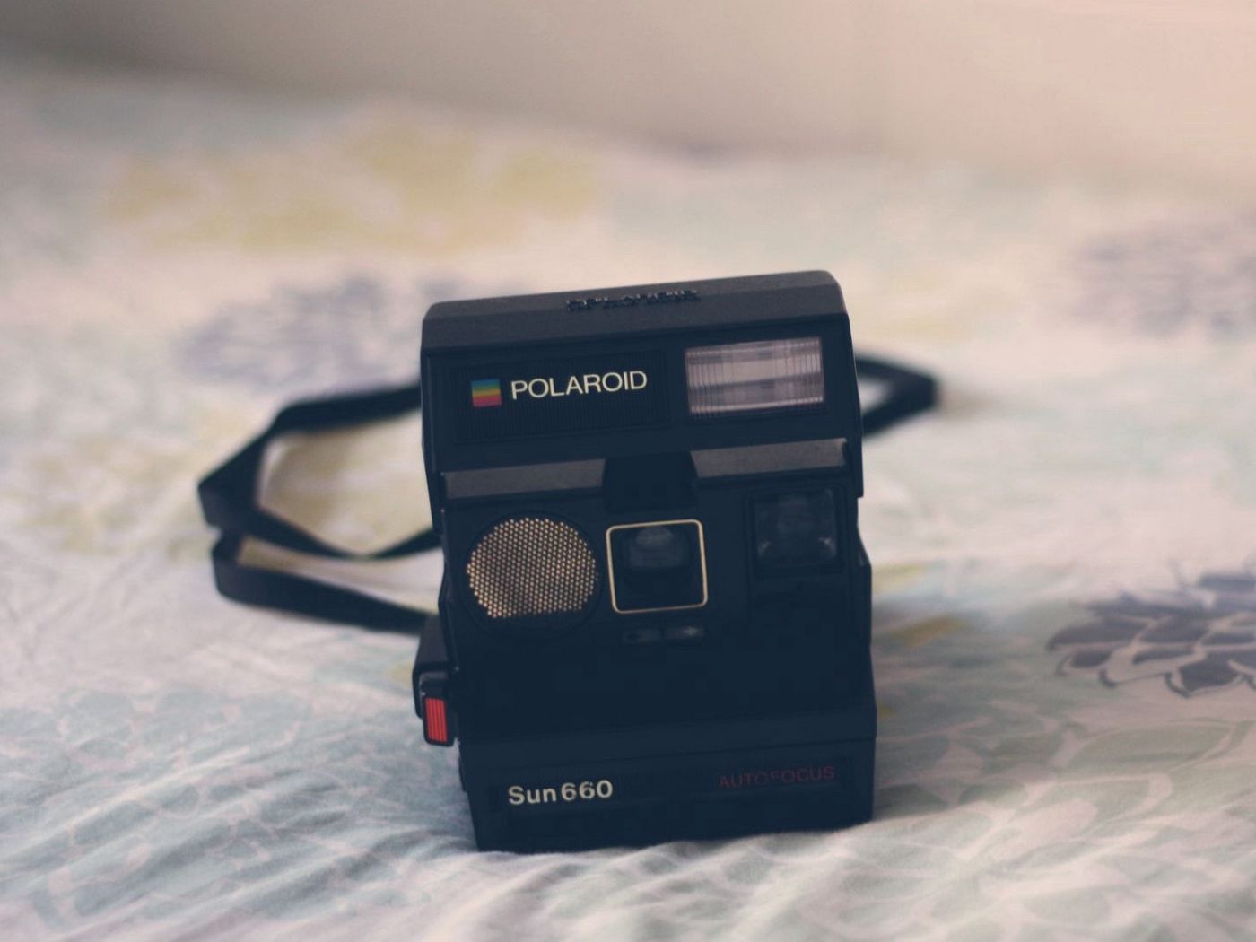 Фотоаппарат Polaroid 665. Polaroid 2100 фотоаппарат. Polaroid Max фотоаппарат. Съемка полароид Сигма.