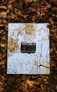 Превью обои фотоаппарат, винтаж, ретро, осень, листья