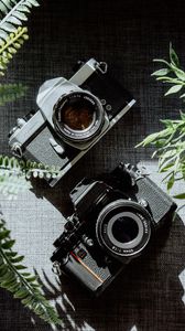 Превью обои фотоаппараты, черный, объективы, растения
