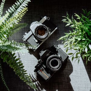 Превью обои фотоаппараты, черный, объективы, растения