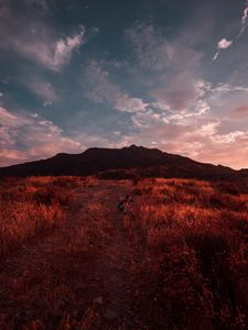Превью обои фотограф, трава, поле, небо, закат