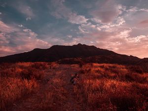 Превью обои фотограф, трава, поле, небо, закат