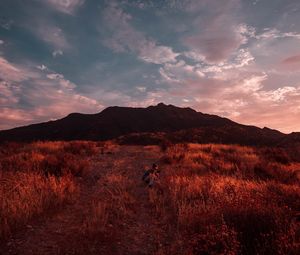 Превью обои фотограф, трава, поле, небо, закат