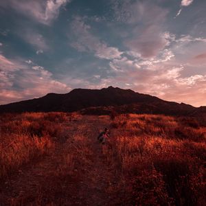 Превью обои фотограф, трава, поле, небо, закат