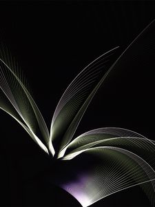 Превью обои фрактал, линии, узоры, темный