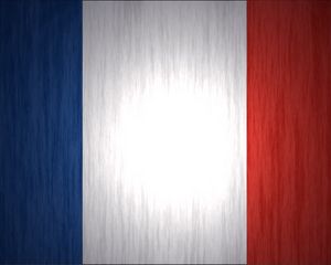 Превью обои франция, флаг, линии, символика, текстура, поверхность