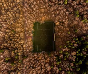 Превью обои футбольное поле, площадка, вид сверху, деревья, обзор