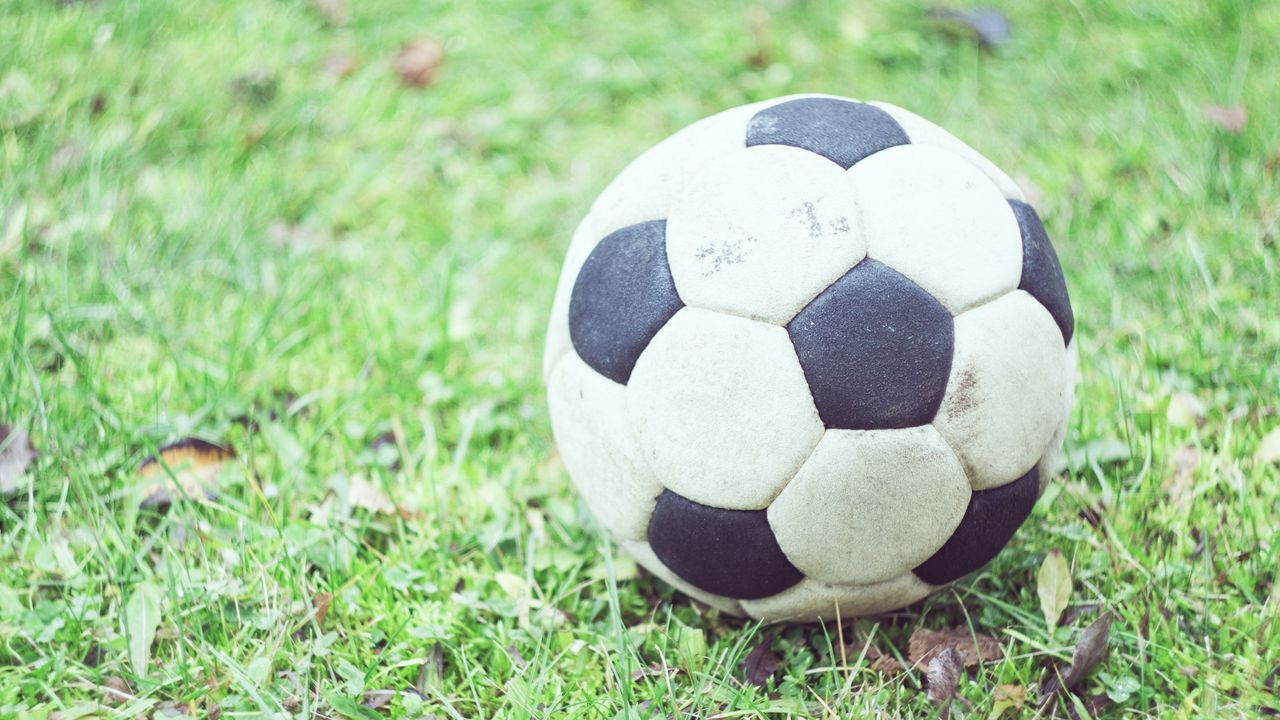 Обои футбольный мяч, футбол, трава, размытость