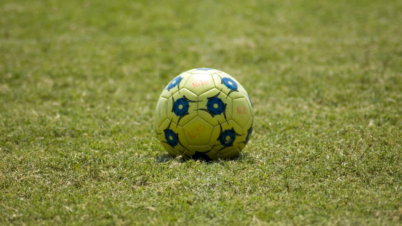 Обои футбольный мяч, мяч, футбол, трава