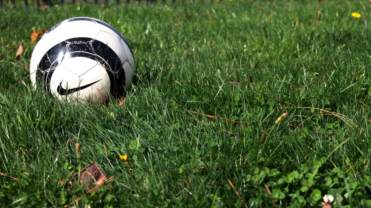 Обои футбольный мяч, nike, трава