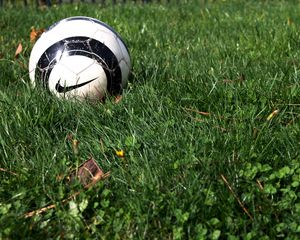 Превью обои футбольный мяч, nike, трава