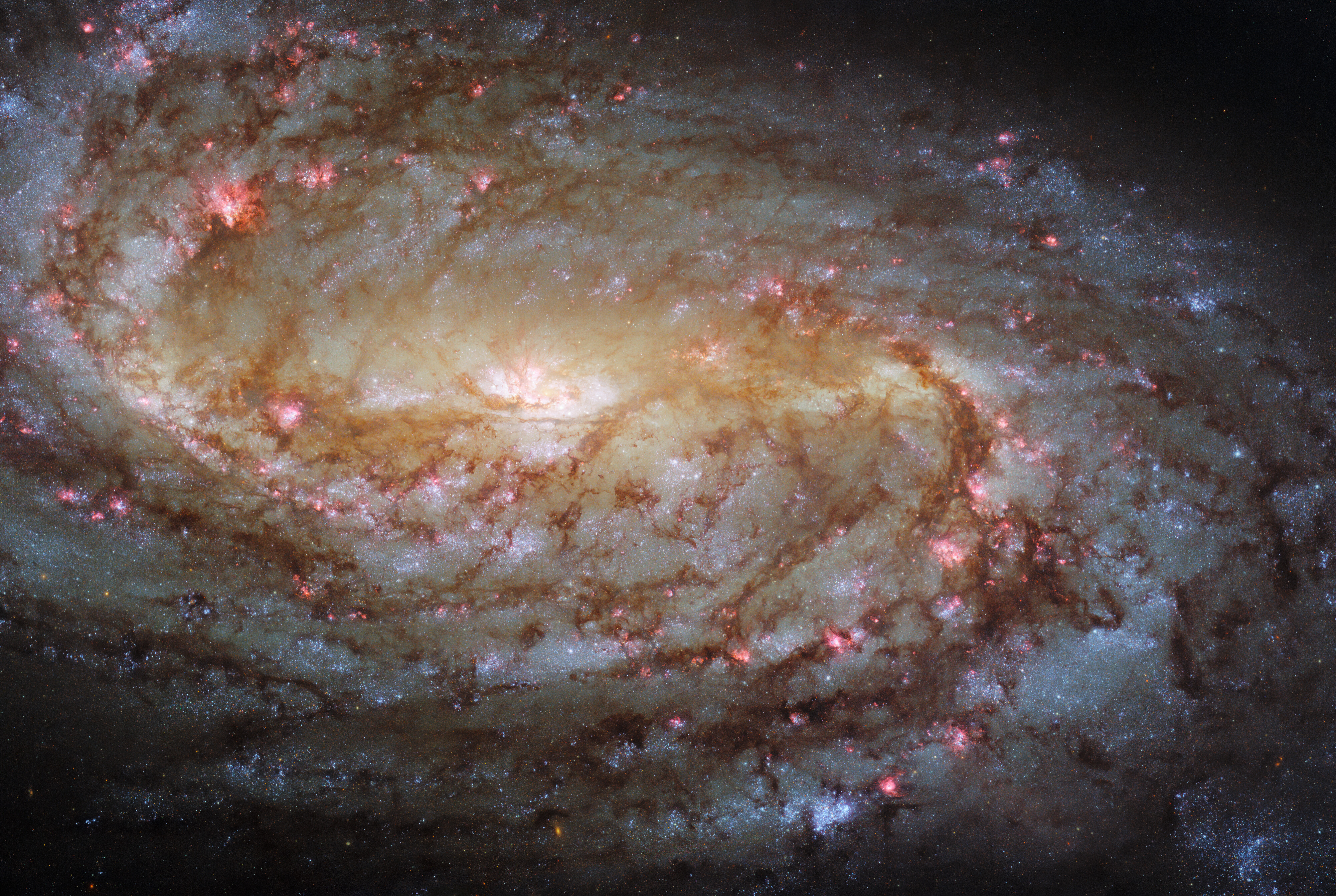 Галактика NGC 2903