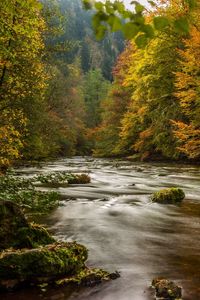 Превью обои гарц, германия, осень, река, деревья