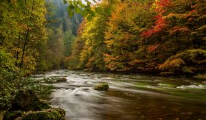 Превью обои гарц, германия, осень, река, деревья