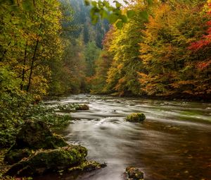 Превью обои гарц, германия, осень, река, деревья