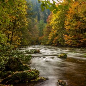 Превью обои гарц, германия, осень, река, деревья