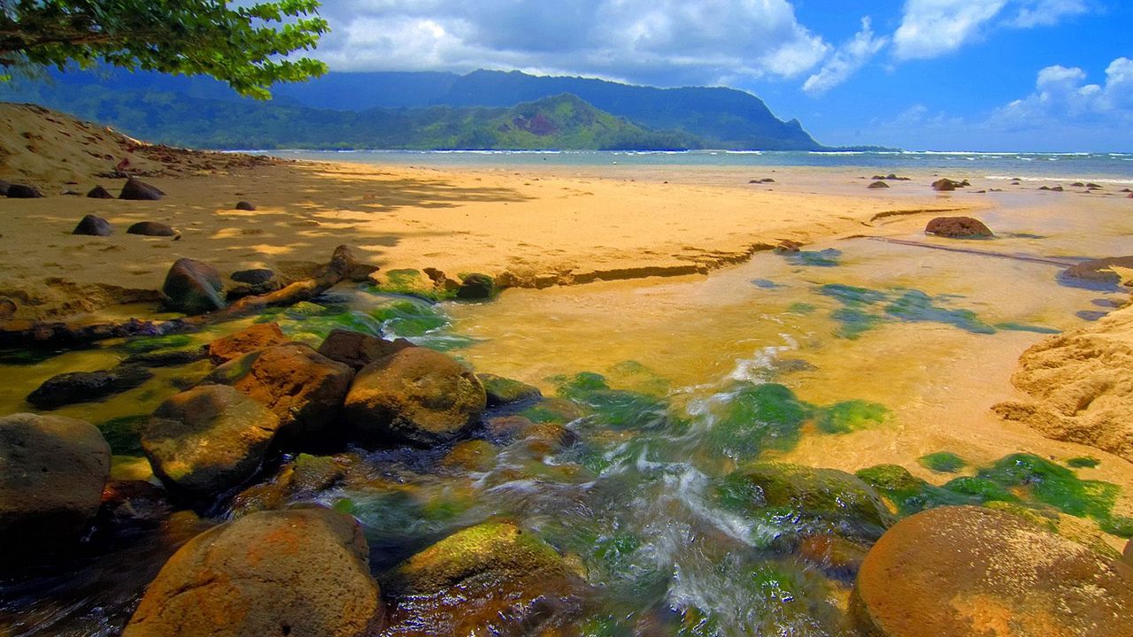 Обои гавайи, день, море, песок, камни
