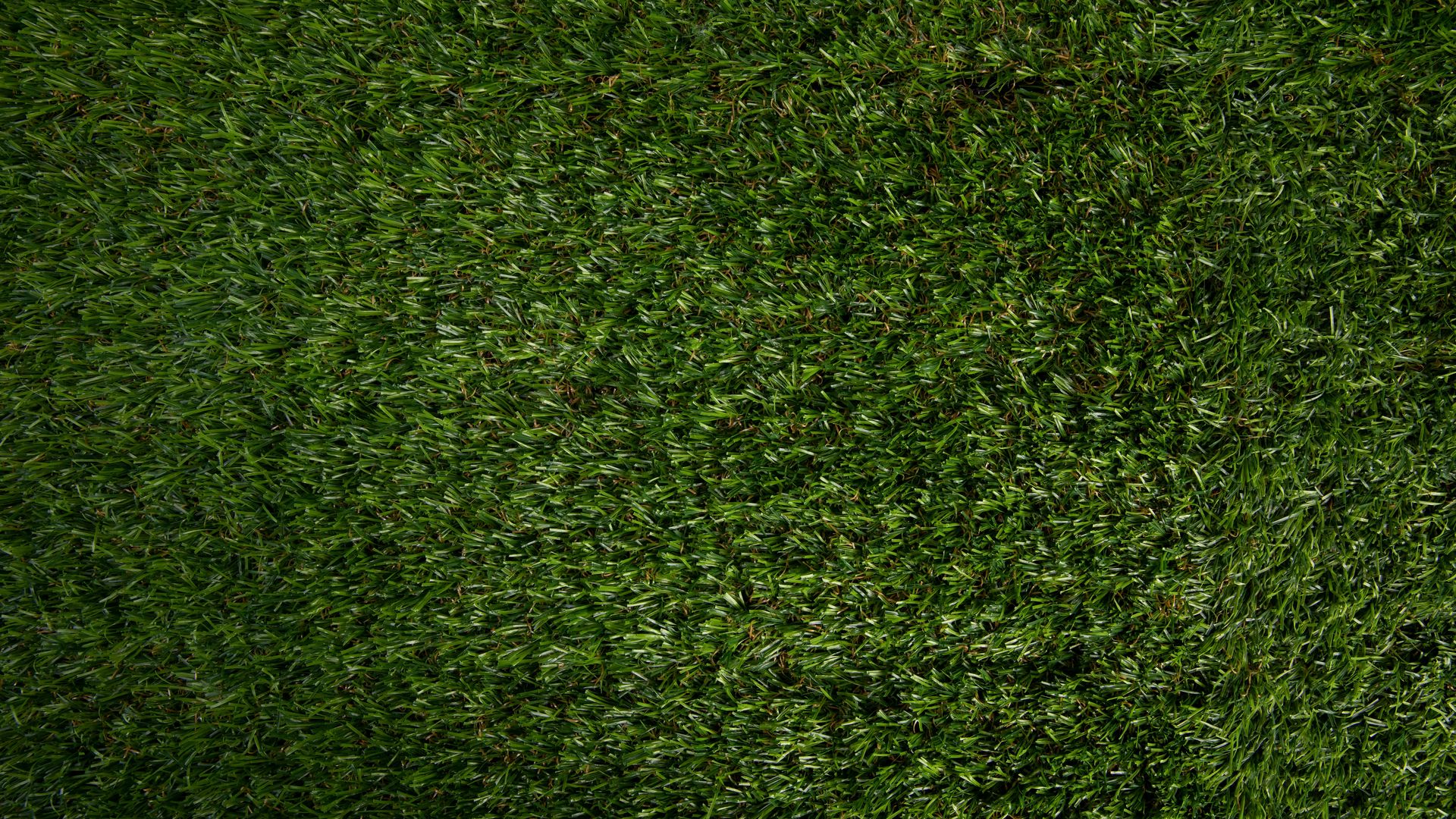 Скачать 1920x1080 газон, трава, текстура, искусственный, зеленый обои,  картинки full hd, hdtv, fhd, 1080p