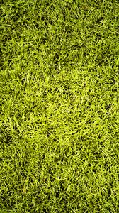Превью обои газон, трава, зелень, текстура, зеленый