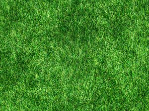 Превью обои газон, трава, зеленый, густой, поверхность
