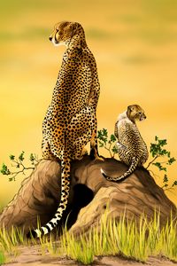Превью обои гепард, большая кошка, детеныш, хищник, арт