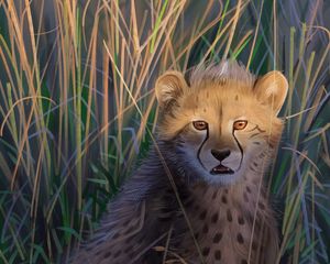 Превью обои гепард, большая кошка, хищник, арт, дикая природа