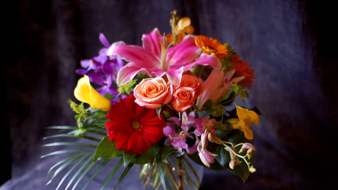 Обои гербера, роза, лилия, каллы, орхидея, цветы, букет, композиция, ваза