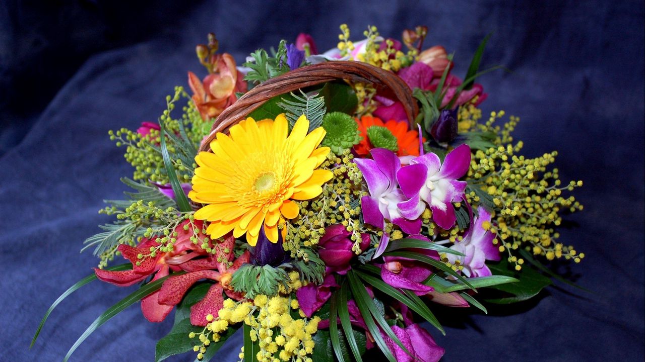 Обои герберы, хризантемы, мимоза, цветы, корзина, композиция, оформление