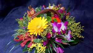 Превью обои герберы, хризантемы, мимоза, цветы, корзина, композиция, оформление