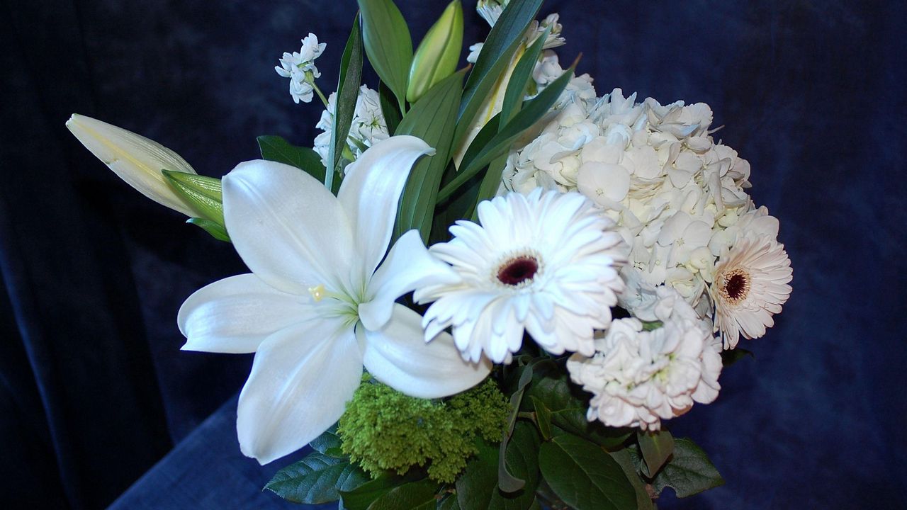 Обои герберы, лилии, гортензия, цветы, букет, белоснежный