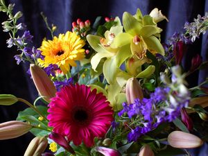 Превью обои герберы, орхидеи, цветы, букет, оформление, композиция