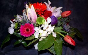 Превью обои герберы, тюльпаны, хризантемы, цветы, букет, композиция, листья
